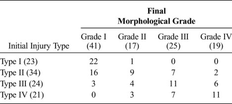 morphological type lca
